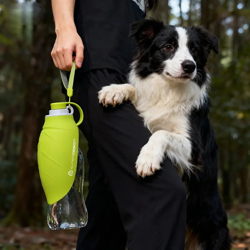 Portable Pet Water Bottle - Essential Travel Dispenser for Dogs and Cats