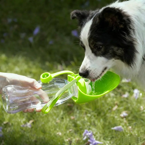 Portable Pet Water Bottle - Essential Travel Dispenser for Dogs and Cats
